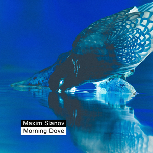 DERRIXON动画下载
